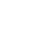 Lioness Clothing